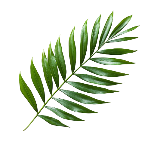 Leaf